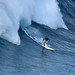 Lyle Carlson Photo 8