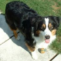 Debra Jacobson Photo 22