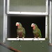 Ron Bird Photo 16