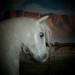 Debra Gray Photo 15