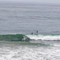Martin Conley Photo 5