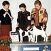 Sharon Conger Photo 7