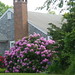Dennis Cole Photo 14