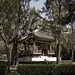 Frank Corea Photo 10