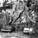 Larry Vaughn Photo 4