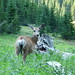 Alberta Rowe Photo 6