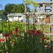 June Dills Photo 7