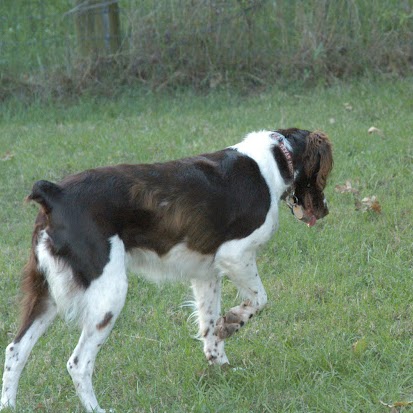 Judy Davidson Photo 23