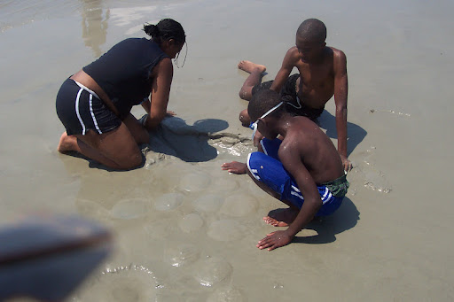 Marcus Dennis Photo 9