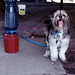Louis Gordon Photo 47