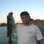 William Green Photo 15