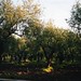 Carol Groves Photo 10