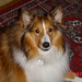 Lisa Griffin Photo 38