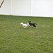 Nicole Wingate Photo 14