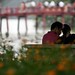 Tinh Ho Photo 27