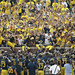 Ricky Stokes Photo 41