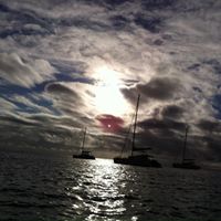 Steve Downing Photo 21