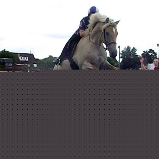 Megan Roderick Photo 4