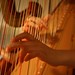 Roberta Harp Photo 5