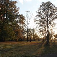Sandy Garrison Photo 5