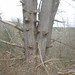 Robert Riddell Photo 18