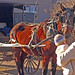 Sandra Farmer Photo 9