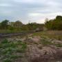 Joseph Wolf Photo 29