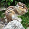 Debbie Hager Photo 34