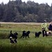 Lisa Slough Photo 15
