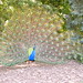 Christopher Hargis Photo 15