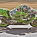 Thomas Hatch Photo 27