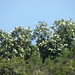 Julia Forst Photo 5