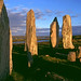 Lewis Stone Photo 34