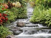 Thong Trinh Photo 17