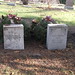 William Crowder Photo 29