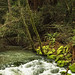 William Muir Photo 15
