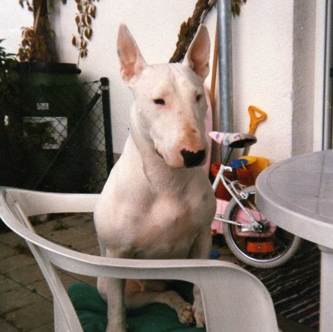 Marion Miller Photo 1