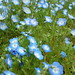 Edith Long Photo 22