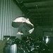 Eddie Mcclure Photo 16