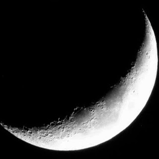 David Masters Photo 17