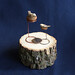 Ruth Bird Photo 31