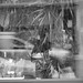 Bruce Hopper Photo 22