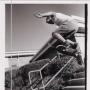 Daniel Curtis Photo 30