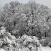 Christopher Winters Photo 41