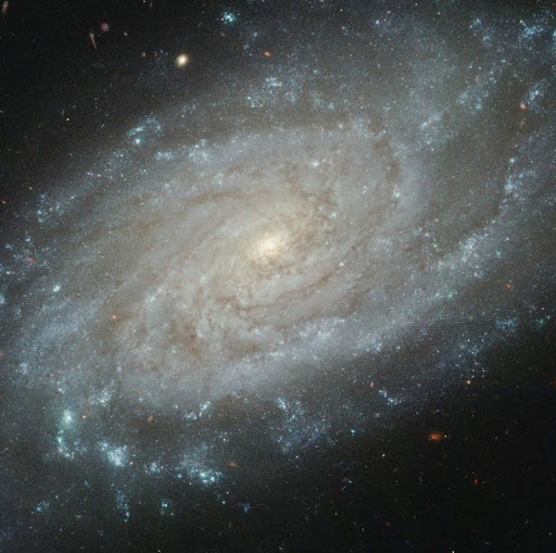 James Vogel Photo 32