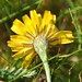 Karl Herbst Photo 8
