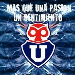 Neftali Rodriguez Photo 37