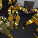 Mark Seamans Photo 8