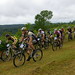 Bruce Collins Photo 39