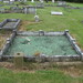 Henry Hutton Photo 9